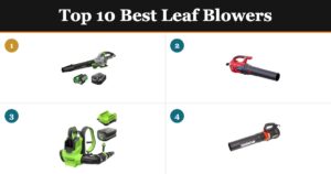 Top 10 Best Leaf Blowers of 2026 — top picks compared
