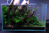 Top 10 Best Aquariums of 2025