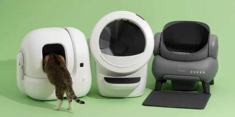 Top 10 Best Automatic Litter Boxes of 2026