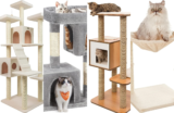 Top 10 Best Cat Trees of 2025