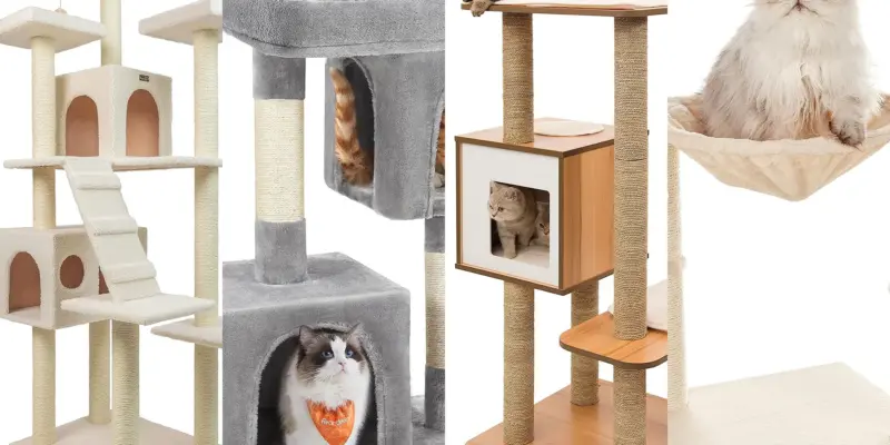 Top 10 Best Cat Trees of 2026