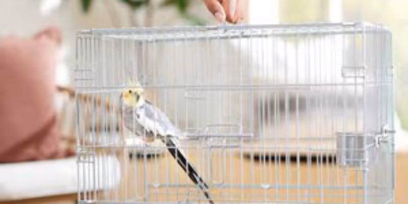 Top 10 Best Bird Cages of 2026